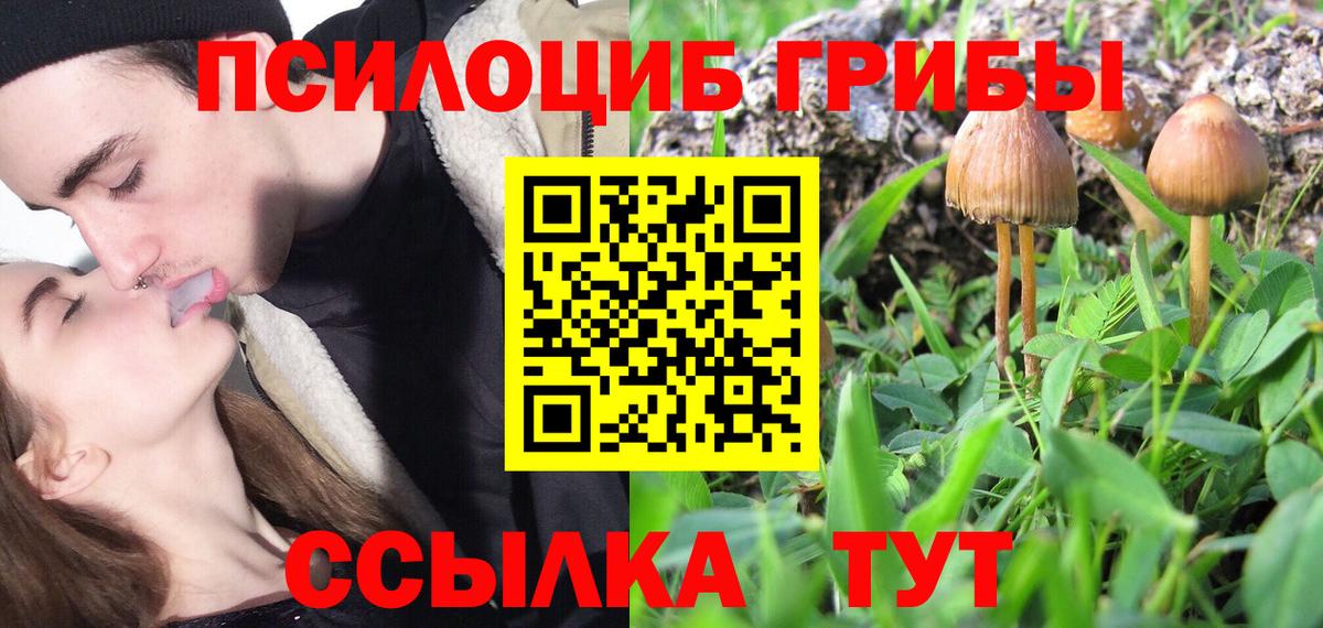 Галлюциногенные грибы GOLDEN TEACHER Партизанск